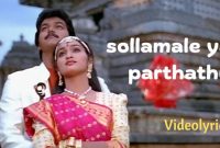 Sollamale yaar parthathu song lyrics in english