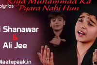 Kiya Muhammad ka Pyara Nahi Hun Lyrics - Noha